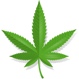 CALAO: CBD SHOP Logo