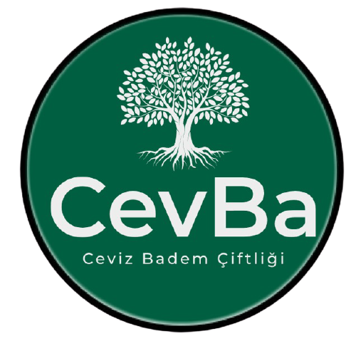 CEVBA Logo