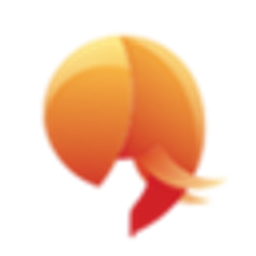 Ceylonar Travels Logo
