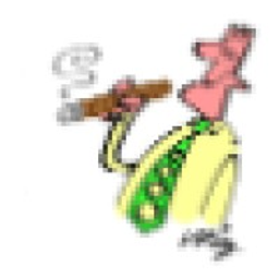 Cgarsltd Logo