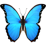 Chazara Logo
