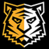 Chemicaltiger Logo