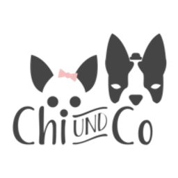 Chi Und Co Logo