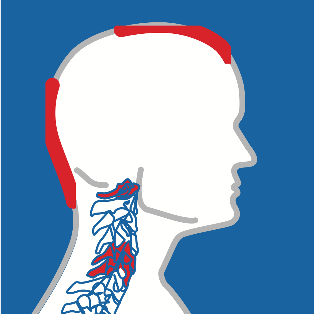 Bischoff Amerikanische Chiropraktik Logo