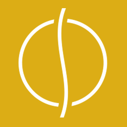 Chiropraktik Zentrum Wiesbaden Logo