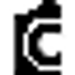 City Hotel Logo