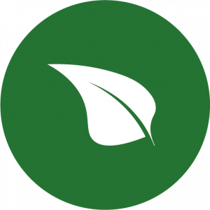 Coaching vegan - Ernährungsberatung und Coaching online Logo