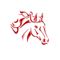 Coachingundpferd Logo