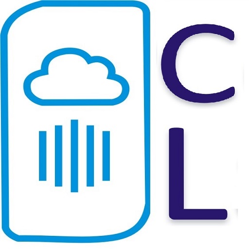 Code Lassi UG IT-Dienstleistungen Logo