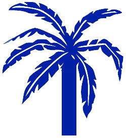 Computer Insel Logo