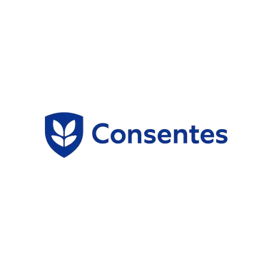 Consentes Digitale Steuerberaterkanzlei Logo