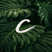 Contentplus Agency Logo