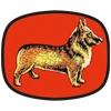 Corgimodelclub Logo