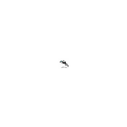 Crossbow Adventure Logo