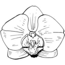 Currlin Logo