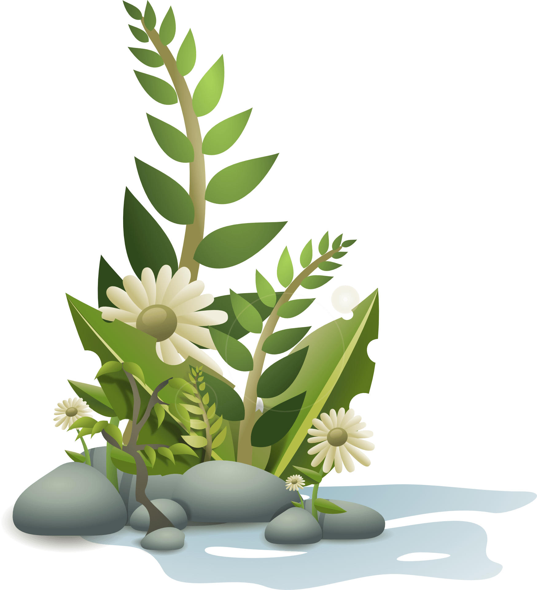 Dachs Albert Gartenbaubetrieb und Landschaftsgestaltung Gartenbaubetrieb Logo