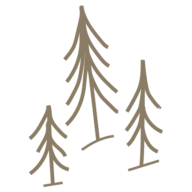 Dachzeltmomente Logo
