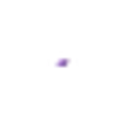 D&W Group Logo