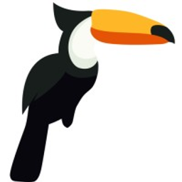 Dark Toucan Consulting by Jonas Enderlin Logo