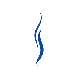 Dashvapes Logo