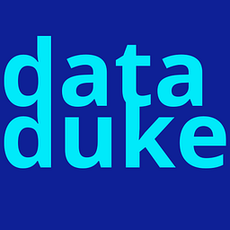 data duke project consulting Logo