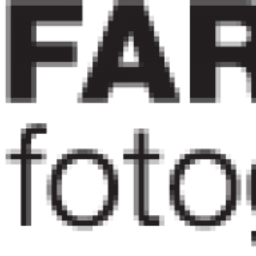 David Michael Farcas Fotograf Logo