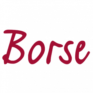 Die Börse für Versicherungen GmbH Logo