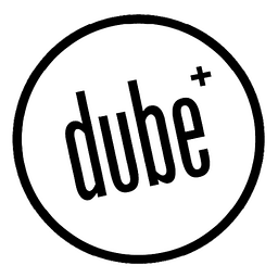 dube partner Logo