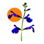 Deaflora Logo