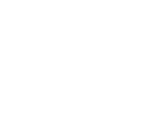Degott Logo