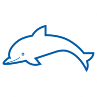Delphin Technology AG Logo
