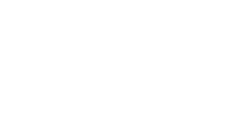 Wellness B&B De Luxe Finnen Logo