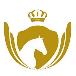 Deluxehorse Logo