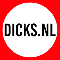 Dicks Dumpstore Logo