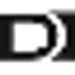 Thiele Florian Logo