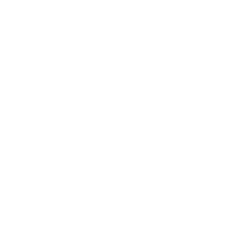 Digitalgoods Proxysto Logo
