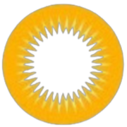Dinsolbrille Logo