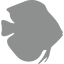 Diskus Direkt Logo