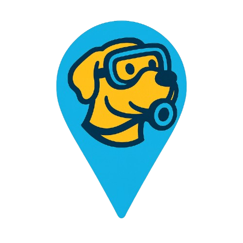 Diverdoo Logo