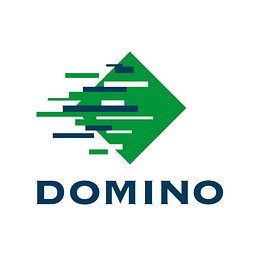 Domino Logo