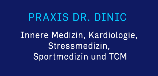 Dinic Milan Logo
