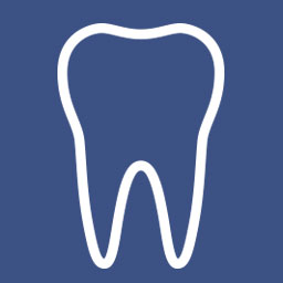 Forer Stefan Dr. Logo