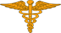 Irmer Hans Dr.med. Logo
