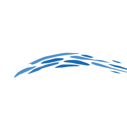 Knapp Michael Dr. Zahnarzt Logo