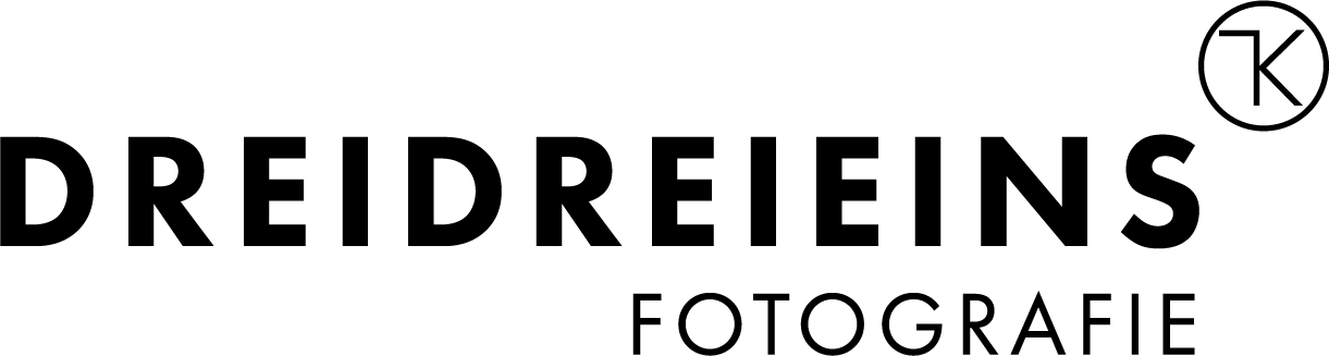 DREIDREIEINS Fotografie Logo