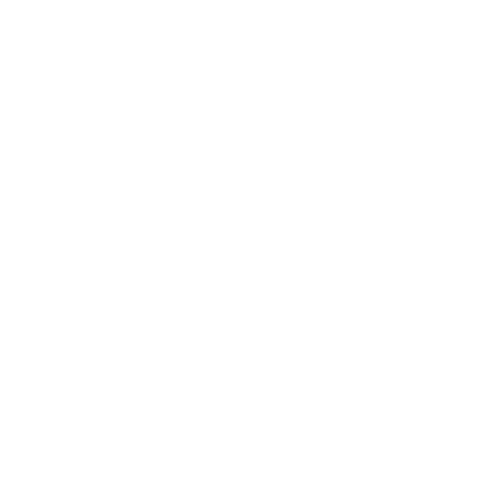 Dressur nach Korrektur - Denise Grau Logo