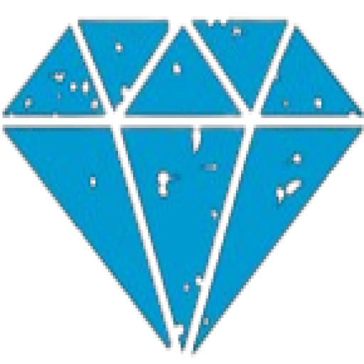 DuoSpin Logo