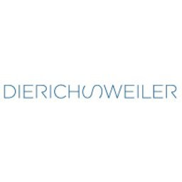 Dierichsweiler Unternehmens- und Prozessberatung GmbH Unternehmensberatung Logo