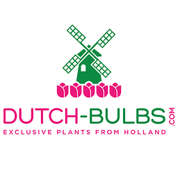 Dutch Bulbs Logo