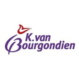 Dutchbulbs Logo